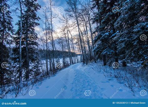 Lonely Cold Winter Trail Stock Image Image Of Sunset 135333013