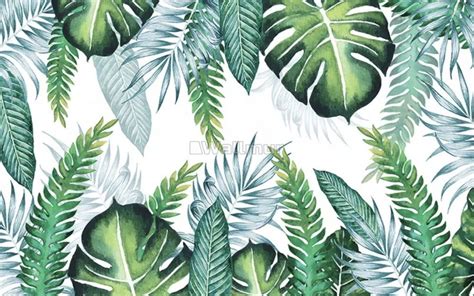Light Green Tropical Leaves Wallpaper Mural Ubicaciondepersonascdmx