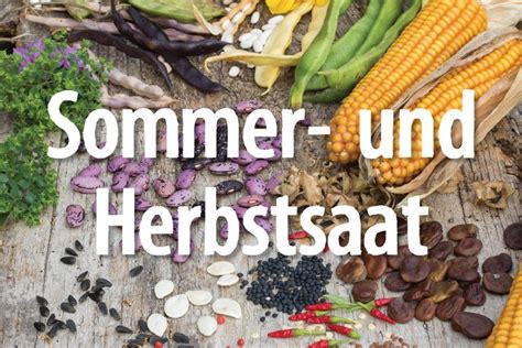 41 biogartenversand gutscheincodes, aktionscode & deals. Sommer- und Herbstsaatgut | Gartensamen, Bio saatgut, Hof ...