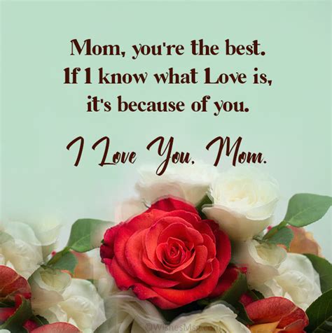 Messages For Mother Love You Mom Quotes Wishesmsg