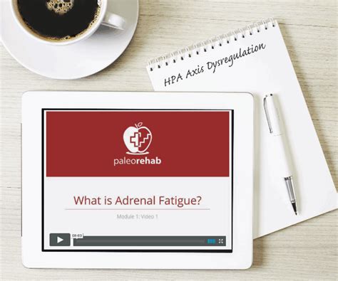 My Battle With Stage 3 Adrenal Fatigue And My Journey To Recovering My