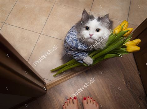 50 Completely Weirdest Stock Photos You Wont Be Able To Unsee