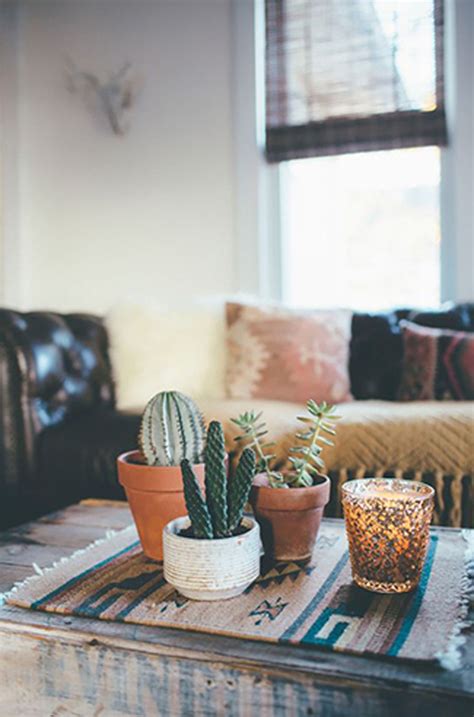 20 Simple Cactus Ideas For Beautify Your Room Home Design And Interior
