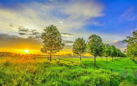 Nature Sunrise Field Green Grass Trees Sky Hd Wallpaper