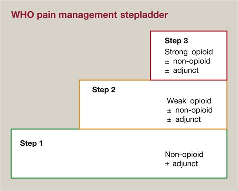 Management Of Acute Pain Surgery Oxford International Edition