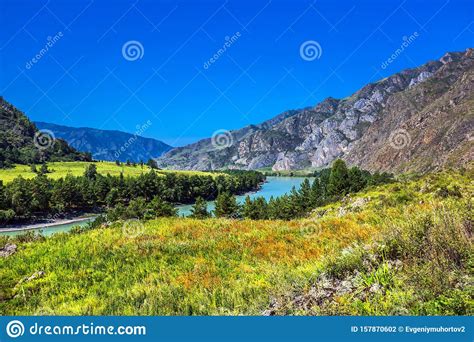 Summer Landscape With Katun River Chemal Gorny Altai Siberia Russia