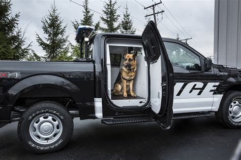2016 Ford F150 Ssv Police Dog K9 Unit The Fast Lane Truck