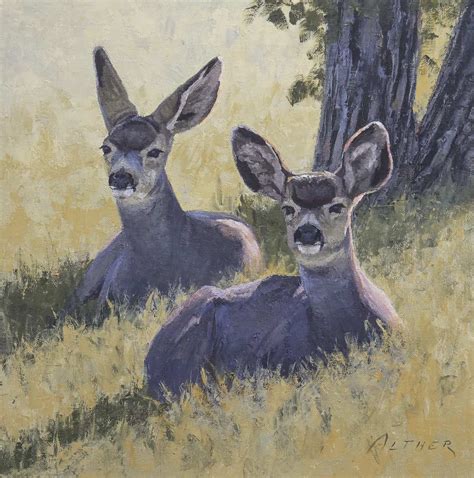 Mule Deer Duo Turner Fine Art