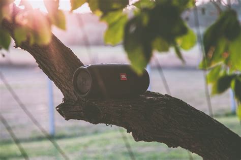 Best Wifi Outdoor Speakers For Music Lovers