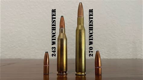 243 Vs 270 Winchester Review And Comparison Youtube