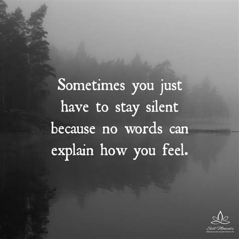 Sometimes You Just Have To Stay Silent Still Moments