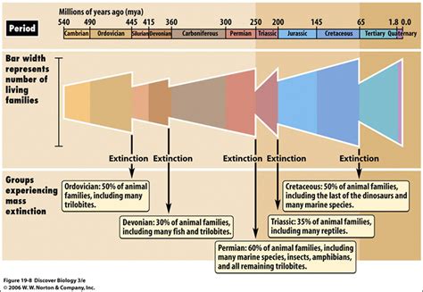 Mass Extinction Events