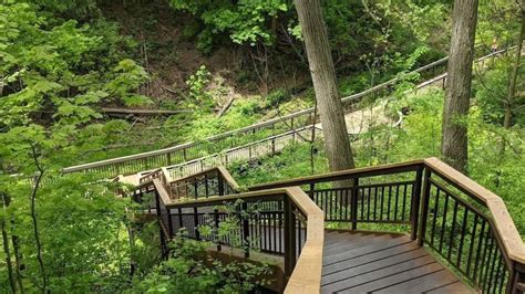 Five Ravine Walks To Avoid The Crowds And Stay Cool In Toronto