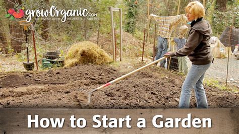 How To Start A Garden Gardening Gardens