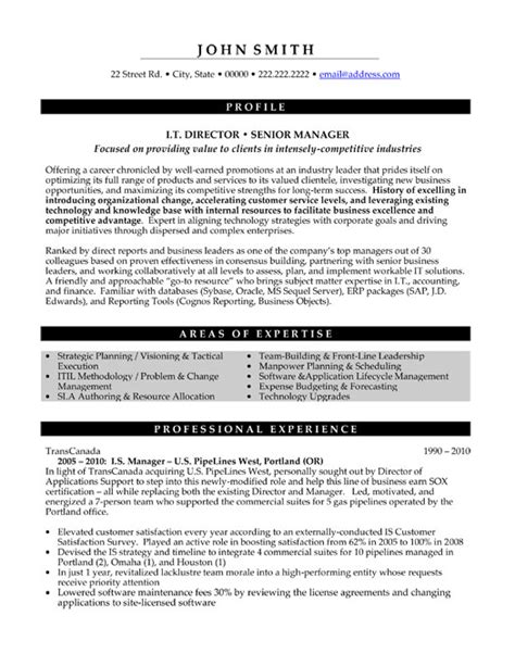 Director It Resume Sample And Template
