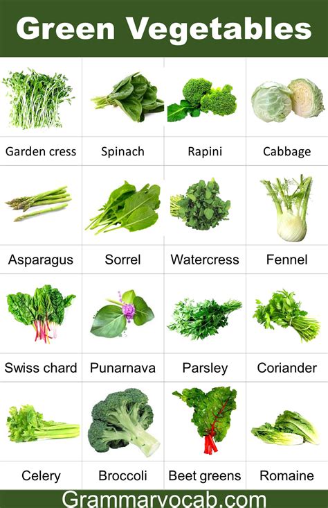 Healthy Vegetables Names