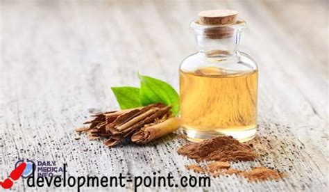 Cinnamon Oil Benefits Uses And Harms Development Point