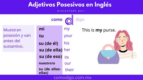 Adjetivos Posesivos en Inglés Adjetivos Posesivos del Inglés