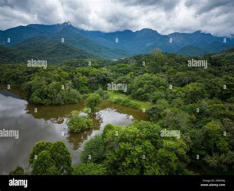 Beautiful Aerial Drone View To Wetlands And Lakes On Green Rainforest