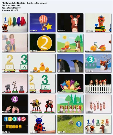 Baby Einstein Cards