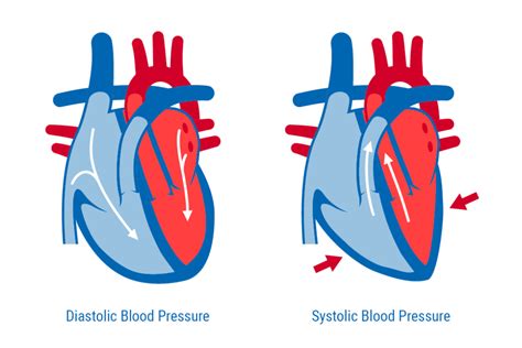 Systolic Vs Diastolic Blood Pressure A D Medical