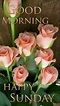 a greeting card with pink roses and the words good morning happy sunday