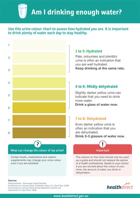 Are You Hydrated Strange Urine Colors And Their Meaning Herbs Info
