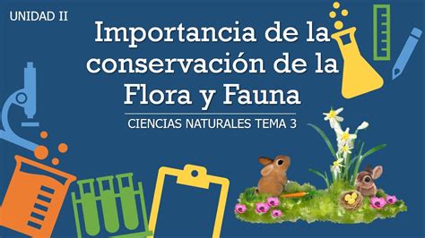 Importancia De La ConservaciÓn De Flora Y Fauna Ciencias Naturales