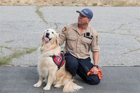 On the bc wildfire website, you can see an. Penticton fire chief and dog Sammy head to Bahamas in wake of Hurricane Dorian - Ashcroft Cache ...