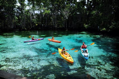 Paddling Floridas Nature Coast In Crystal River Discover Crystal River