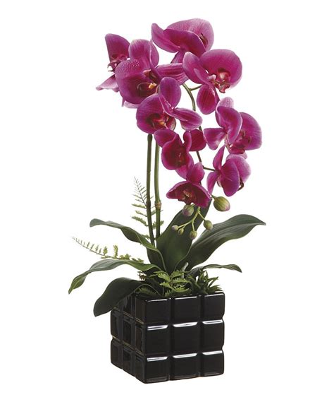 Look At This Zulilyfind Pink Phalaenopsis Boxed Floral Arrangement By