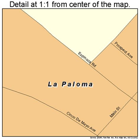 La Paloma Texas Street Map 4841416