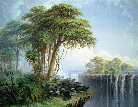 Tropical Rainforest Painting At Explore Collection