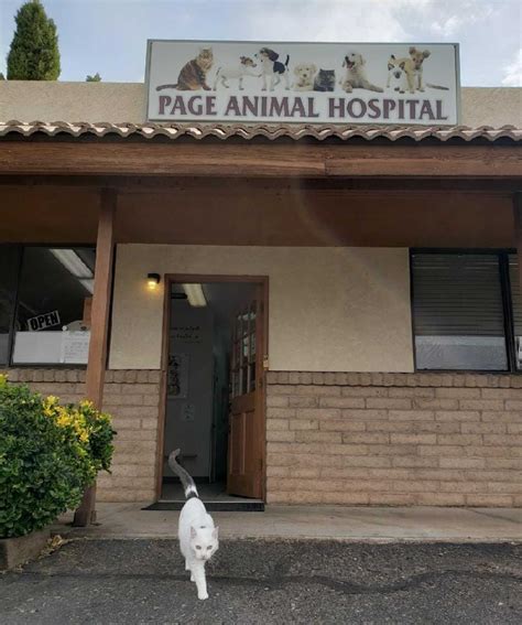Page’s only animal clinic is closing leaving the city an hour’s drive