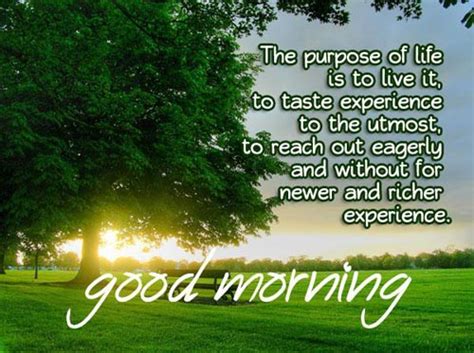 If you're looking for some encouragement and need more than just quotations, check out: Beautiful Good Morning Nature Images with Quotes