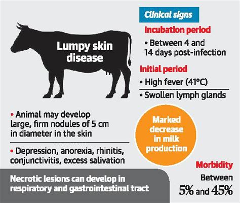 Lumpy Virus Skin Disease Causes And Prevention