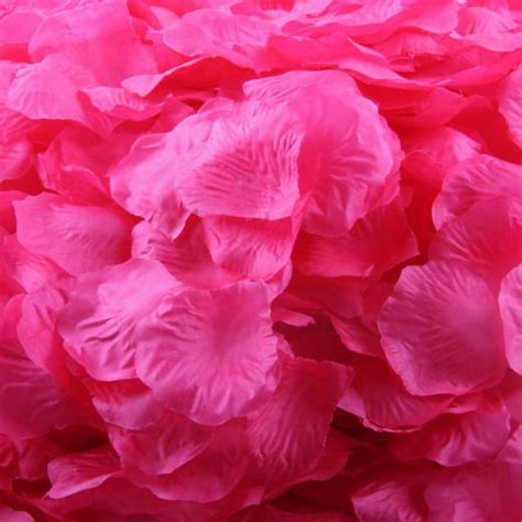Onhuon Silk Rose 200pcs Decor Favors Party Artificial Petals Flower