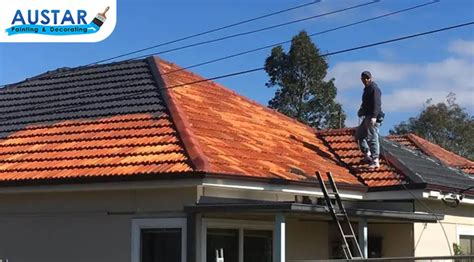 Why Is Hiring Professional Roof Painters Considered Safe