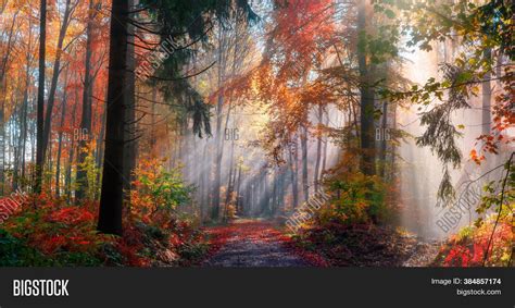 Magical Autumn Scenery Image And Photo Free Trial Bigstock