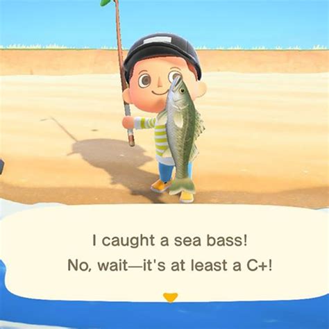 Animal Crossing New Horizons Fish Sea Bass Pirates And Princesses