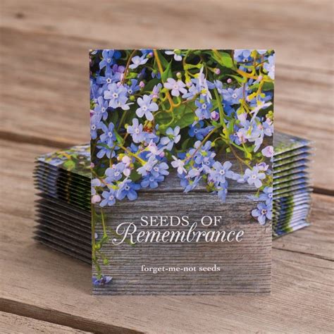Seeds Of Remembrance 25 Individual Forget Me Not Flower Seed Etsy In