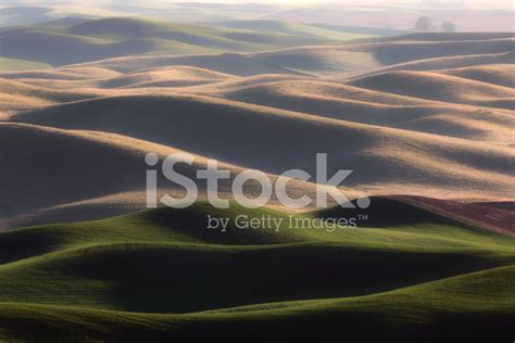 Palouse Rolling Hills Sunrise Stock Photo Royalty Free Freeimages