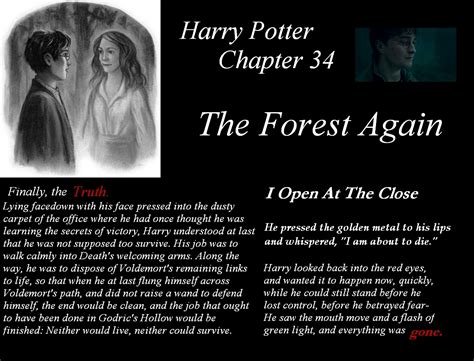 Harry Potter The Forest Again Harry Potter Photo 21330054 Fanpop