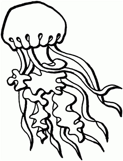 Jellyfish Coloring Pages For Kids Coloring Home
