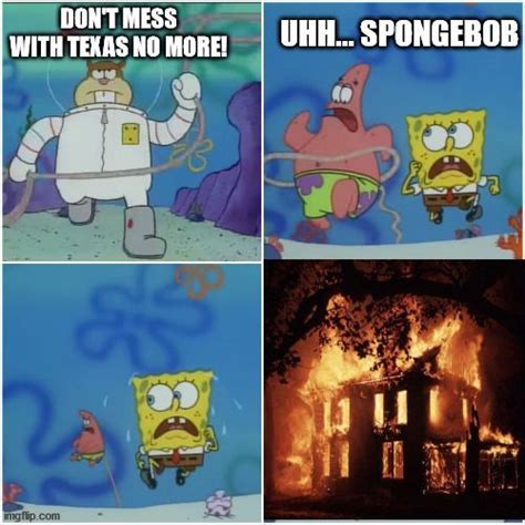 Spongebob Squarepants 10 Sandy Memes That True Fans Will Love