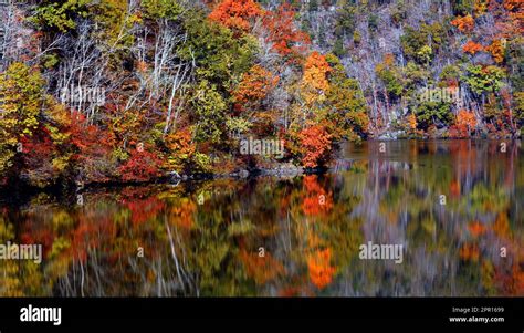 Beautiful Autumn Orange And Gold Reflect In The Still Waters Of The