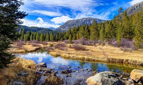 Picture Nature Creeks Mountains Forest Landscape Photography