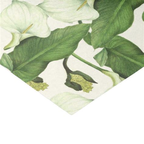 Vintage White Calla Lily Flowers Tissue Paper Zazzle Calla Lily