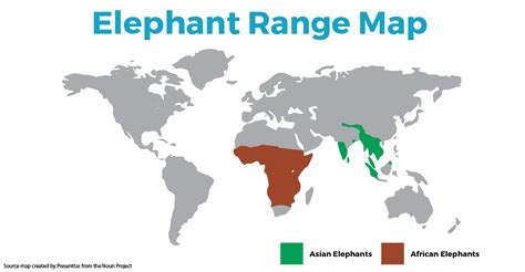 African Elephant facts, learn what makes them so unique