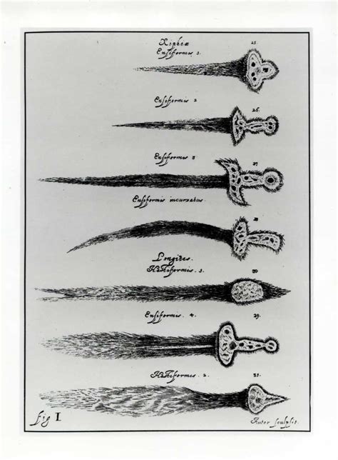 Deep Impact Comets In Ancient Cultures Transmissions